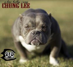 G-LINE G-CHUNG LEE