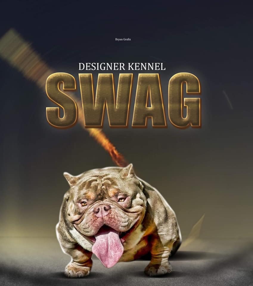 BULLY DESIGNER SAWG