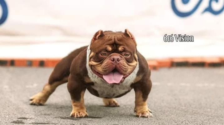 INTERSTATE BULLIES E.T